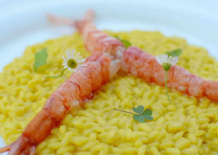 Apulia Vittoria Pool & 4* 오트란토